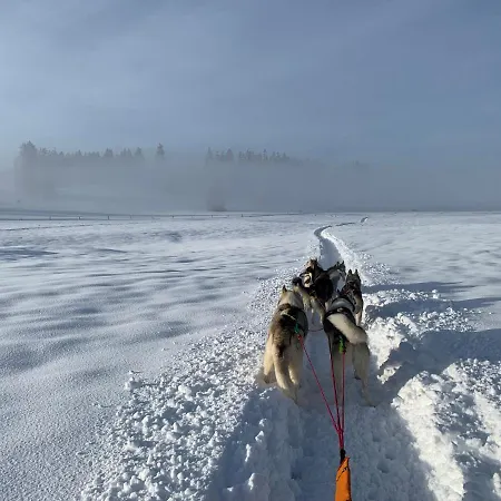 Vent_du_nord * Tramelan